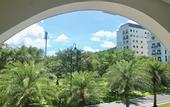 Туры в отель Monstera Hotel and Coffee