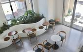 Туры в отель Monstera Hotel and Coffee