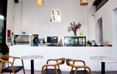 Туры в отель Monstera Hotel and Coffee