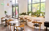 Туры в отель Monstera Hotel and Coffee