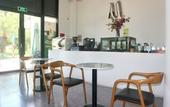 Туры в отель Monstera Hotel and Coffee