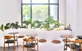 Туры в отель Monstera Hotel and Coffee