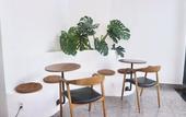 Туры в отель Monstera Hotel and Coffee