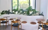 Туры в отель Monstera Hotel and Coffee