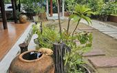 Туры в отель Nipatra Homestay