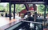 Туры в отель Nipatra Homestay