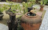 Туры в отель Nipatra Homestay