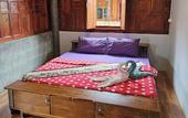 Туры в отель Nipatra Homestay