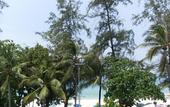 Туры в отель The Taksim Bangla Beach Hotel
