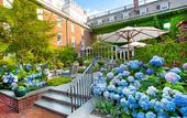 Туры в отель The Vanderbilt, Auberge Collection