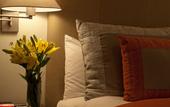 Туры в отель The Vanderbilt, Auberge Collection