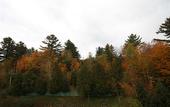 Туры в отель Grand Adirondack Hotel, Lake Placid, a Tribute Portfolio Hotel