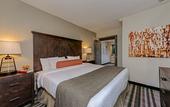 Туры в отель Grand Adirondack Hotel, Lake Placid, a Tribute Portfolio Hotel