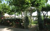 Туры в отель Olympic Beach Hotel