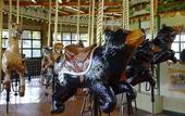 Туры в отель Overlook Lodge at Bear Mountain