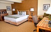 Туры в отель Overlook Lodge at Bear Mountain