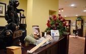 Туры в отель Overlook Lodge at Bear Mountain