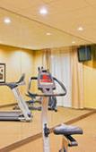 Туры в отель Holiday Inn Express & Suites Foley by IHG