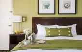 Туры в отель Perdido Beach Resort