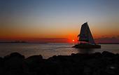 Туры в отель Perdido Beach Resort