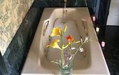 Туры в отель Oakcliff Bed and Breakfast