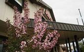 Туры в отель Rodeway Inn Syracuse Carrier Circle