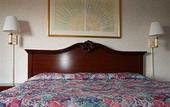 Туры в отель Rodeway Inn Syracuse Carrier Circle