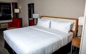 Туры в отель Holiday Inn El Paso West - Sunland Park by IHG