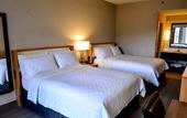 Туры в отель Holiday Inn El Paso West - Sunland Park by IHG