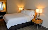 Туры в отель Holiday Inn El Paso West - Sunland Park by IHG