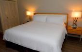 Туры в отель Holiday Inn El Paso West - Sunland Park by IHG