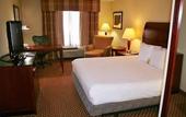 Туры в отель Hilton Garden Inn El Paso / University