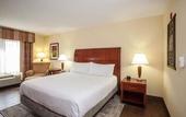 Туры в отель Hilton Garden Inn El Paso / University