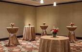 Туры в отель Hilton Garden Inn El Paso / University