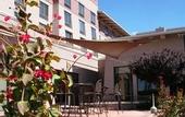 Туры в отель Hilton Garden Inn El Paso / University