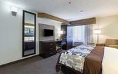 Туры в отель Spark by Hilton El Paso University