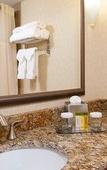 Туры в отель DoubleTree by Hilton Holland