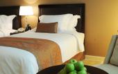 Туры в отель One to One Hotel - The Village