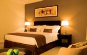 Туры в отель One to One Hotel - The Village