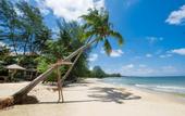Туры в отель Coco Palm Resort Phu Quoc