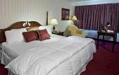 Туры в отель The Georgian Lakeside Resort