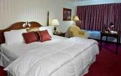 Туры в отель The Georgian Lakeside Resort