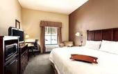 Туры в отель Hampton Inn & Suites Lake George