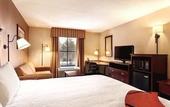 Туры в отель Hampton Inn & Suites Lake George