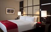 Туры в отель The Statler Hotel at Cornell University