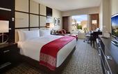 Туры в отель The Statler Hotel at Cornell University