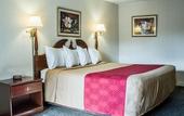 Туры в отель Econo Lodge Cortland Downtown