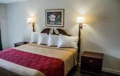 Туры в отель Econo Lodge Cortland Downtown