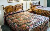 Туры в отель Econo Lodge Cortland Downtown