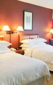 Туры в отель Sheraton Eatontown Hotel